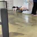 쿤짱