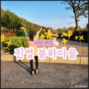 봉하마을 진영생태문화공원 | 진영가볼만한곳 봉하마을(생태문화공원/생가/묘역 관람시간)