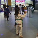 아이로운 태권도 이미지