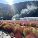 동국이네 이미지