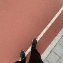 옥정체육공원 농구장 이미지