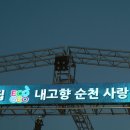 잔디마당 콘서트 Daum카페