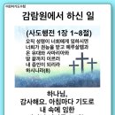 감람원 이미지