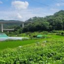 개곡리농장 이미지