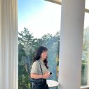 종화동 582 이미지