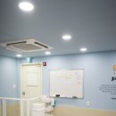 옐레드 애견유치원 & 애견호텔 광명점 | 옐레드 애견유치원 창업 알아보기｜강아지유치원비용·애견유치원 자격증 정리