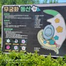 아나카페고래
