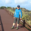 제주 월령리 선인장군락 이미지