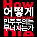 그 많은 진보 민주 세력들은 왜 꿀먹은 벙어리인가 이미지