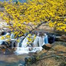 시조마을 이미지