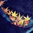 새하양세탁소 이미지