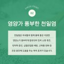 동산염업
