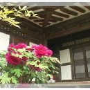 소답동131 이미지