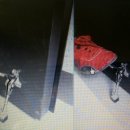 제일용품 이미지