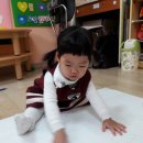 키즈숲어린이집