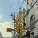 도도세차장 봉선점 이미지