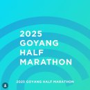 (주)현대자원 | 2025 고양특례시 하프마라톤(고하마) 자원봉사 후기(급수대 담당)