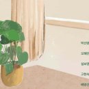 하루생각 이미지