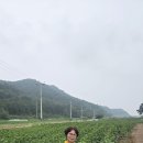 26. 8.21 금요일 오늘의 끝말잇기는 (다)로 시작됩니다 이미지