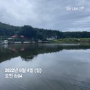 그린좌대낚시터 이미지