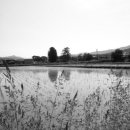 발랑1리 이미지