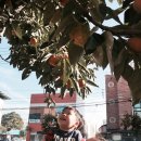 상주동부초등학교 이미지