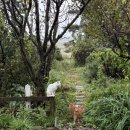 은빛 비치는 돌 | 강화 숨어있는 보석같은 카페 은빛비치는들