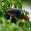 월곡구민운동장 이미지