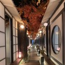 고기미담 이미지