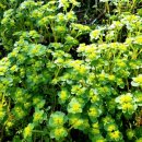 운정리 마을회관 이미지