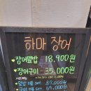 하마 장어
