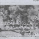 농가벌꿀 Daum카페