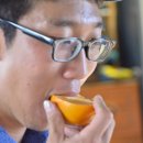 순박2농장 이미지