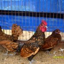 미니농장 이미지