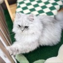 나의 첫 글+ 이야기의 시작 이미지