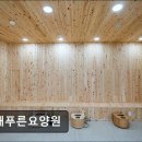 푸른환경자원 | [양주 요양원/추천/후기/가격] 현대푸른요양원 어르신과 함께하는 신뢰의 동행