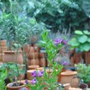 월평3호 이미지