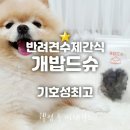 개밥드슈 이미지