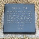 공생 공존 공동체 이미지