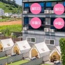 남해댕댕이 애견펜션 블루 이미지