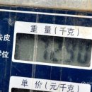 신발신고