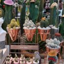 꽃길부동산중개사무소 이미지