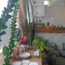 들꽃정원민박 이미지