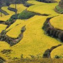 고삼경로당 이미지