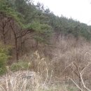 삼산면-1 이미지