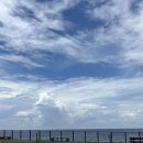 청안공원(부영A앞) | 꿈은 없고여 그냥