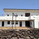 코난민박 이미지