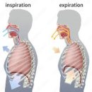 몸그리다 이미지