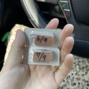 닥터강동물병원 이미지