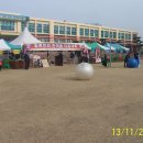 일로초등학교 이미지